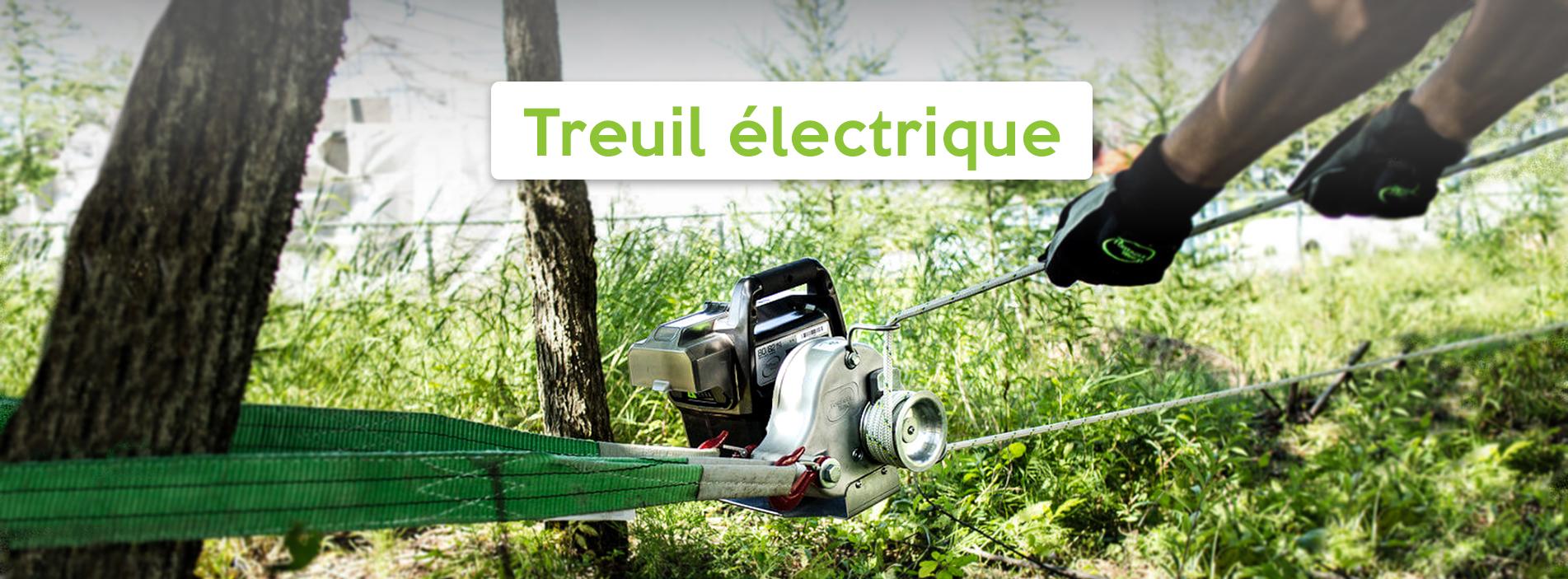 Treuil électrique